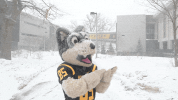 Make It Rain Snow GIF by Michigan Tech
