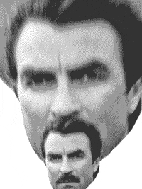 pic Magnum Pi Tom Selleck Gif magnum pi flirt gif by starz find