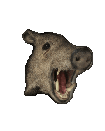 Westfalia Jagdreisen Sticker