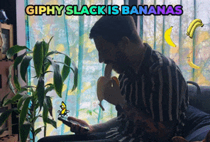 Bananas Slack GIF by Tiffany