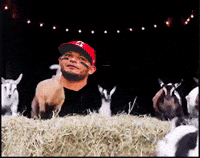 Yadier-molina GIFs - Get the best GIF on GIPHY