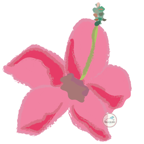 vuelacolibri Sticker