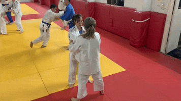 Sasae Or Hiza GIF