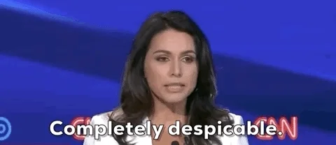 Tulsi Gabbard GIF by GIPHY News