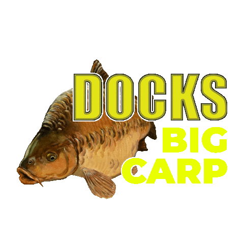 Sensational Angling Supplies Sticker