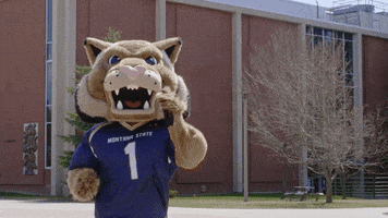 Happy Montana State Bobcats GIF by Montana State University