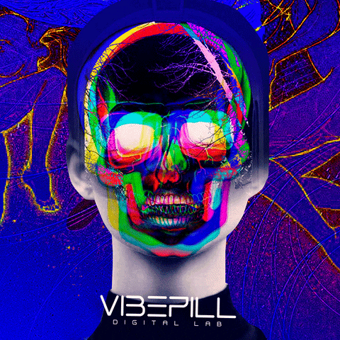 Vibes GIF