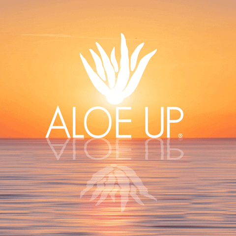 AloeUp sunset sunscreen aloe aloe vera GIF