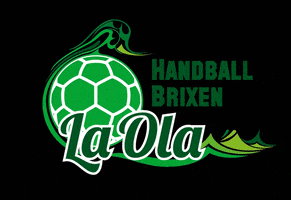 LaolaBrixen brixen laola brixen handball brixen ssv brixen handball GIF