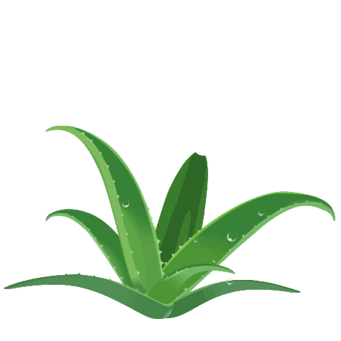 Makeup Airbrushing Sticker by RockCandyBeauty