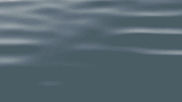 Sea GIF