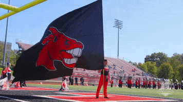 Football Flag GIF by University of Central Missouri