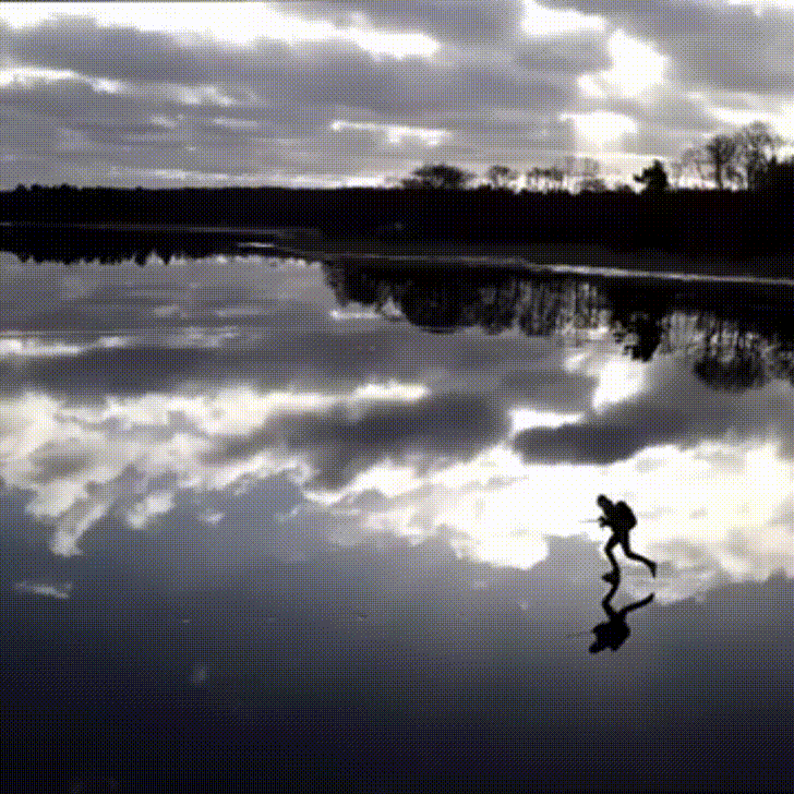 sea tranquility GIF