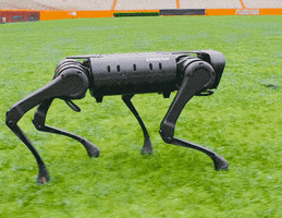 Football Field Robot GIF by University of Florida