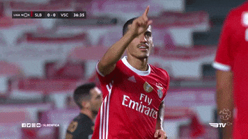 Pointing Up Sl Benfica GIF by Sport Lisboa e Benfica
