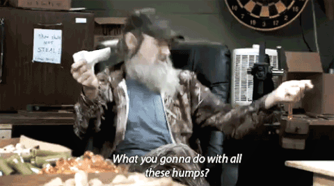 si robertson