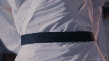 shoes whip GIF by Karate Combat