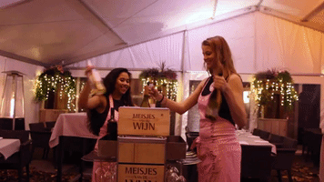 Wine Wineglass GIF