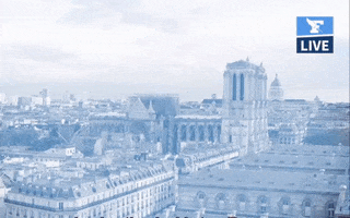 GIF by Le Figaro