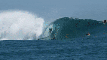 GIF by Rip Curl