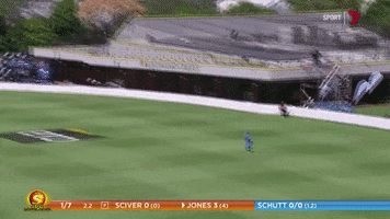 Patterson GIF by Adelaide Strikers