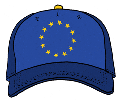 voting european union GIF by European Parliament