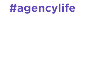 Hudson Integrated Sticker