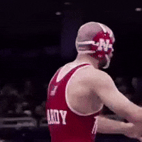 Wrestling GIF