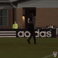 King GIF by NC State Athletics