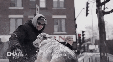 200.gif?cid=fc005b08bffdaa335cd205918c3db1236d73ddd95ace70d8&rid=200.gif&ct=g