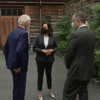 Voting Kamala Harris GIF by Joe Biden