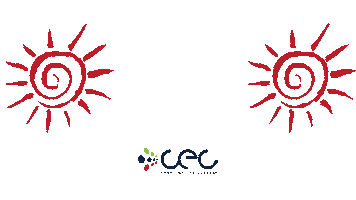English School Summer Sticker by Cork English College