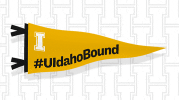 Ui Vandals GIF by University of Idaho