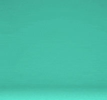 200.gif?cid=fc005b0862a8d9c3e5e3a11e5b3100c082e4440c6389e437&rid=200.gif&ct=g