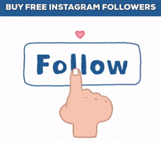Buy Free Instagram Followers GIF