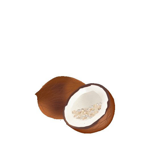 COCONUT LOVE GIFs on GIPHY Be Animated