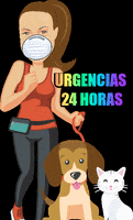 24 Horas Cat GIF by greenfoodpet