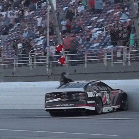 Celebration Win GIF