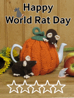 Rats Harvest GIF by TeaCosyFolk