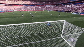 Vamos World Cup GIF by FIFA