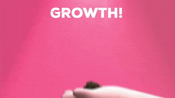 Grow Kevin Bacon GIF by SaveMyBacon
