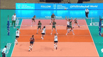 Stuff Block GIF by Volleyball World