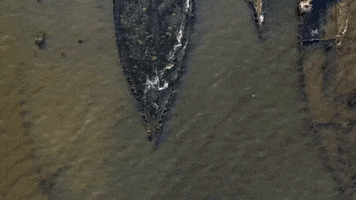 200.gif?cid=fc005b087e1e7ea6877c2a6e61913b02a31e97da16a15702&rid=200.gif&ct=g