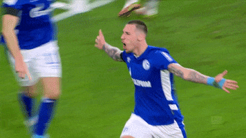 Happy Come On GIF by FC Schalke 04