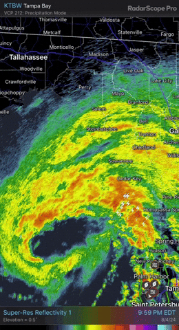 giphy.gif?cid=9b38fe91dyzq93fkyv88tz0lhx