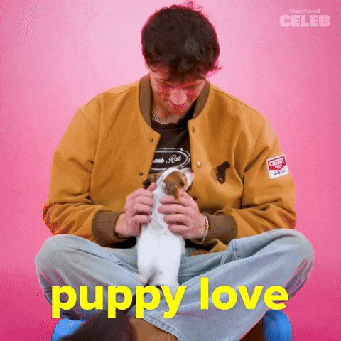 Puppy Love GIF by BuzzFeed