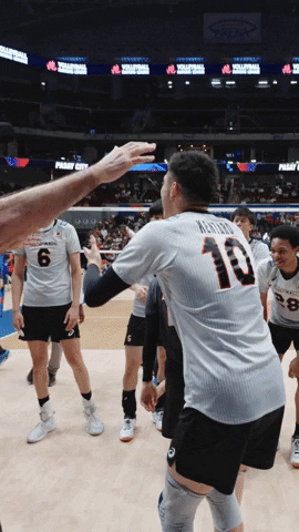 Celebration Applause GIF by Volleyball World