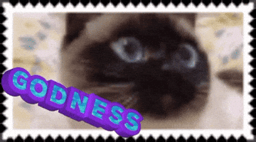 Godness GIF