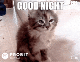 Good Night Reaction GIF by ProBit Global