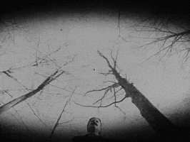 Band Broadside GIF by Thriller Records